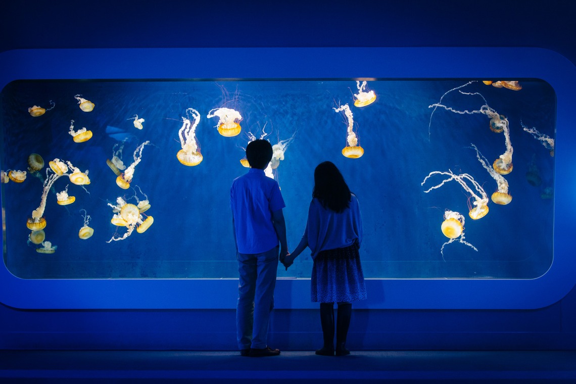 Album of the Wedding, Bridal taken by Before the rain photography - 