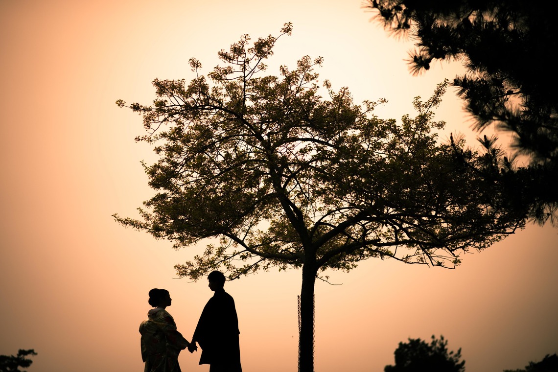 studio zeroが撮影した「奈良」の写真