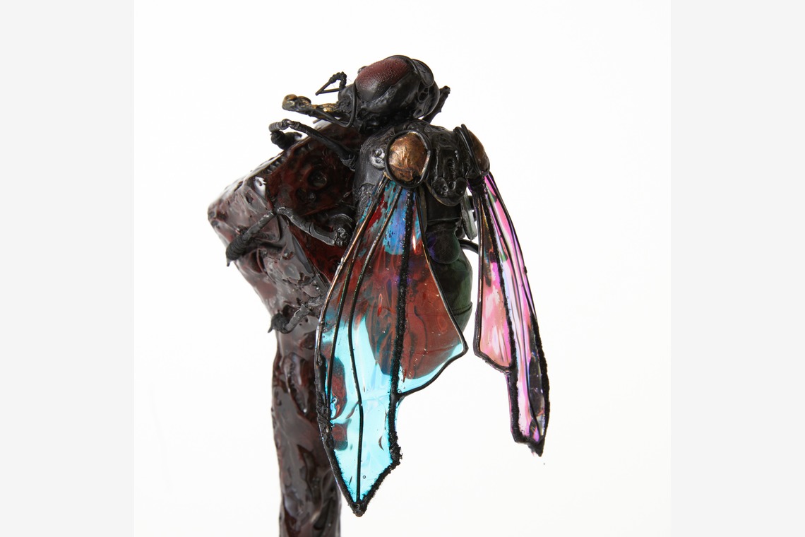 菅野恵太が撮影した写真のアルバム「シンプル物撮り」