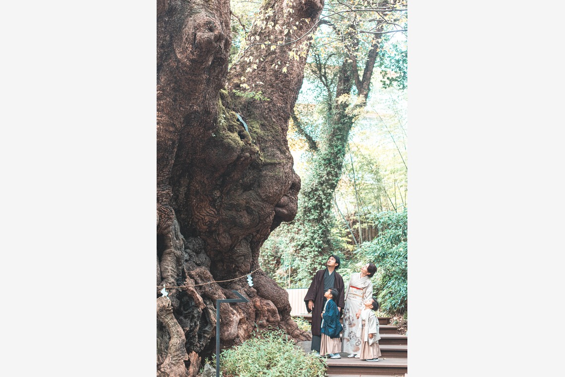 kudophotoが撮影した「七五三＿まとめ」の写真