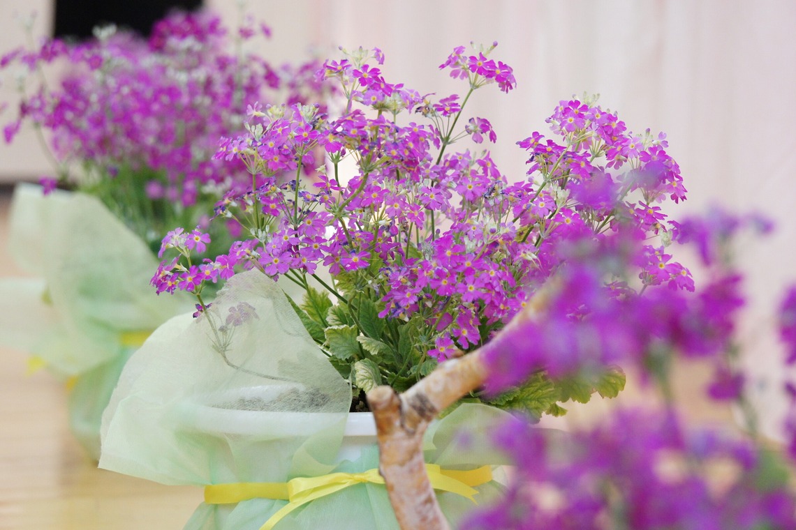 出張撮影のメモリーズが撮影した「宣材-アラカルト」の写真