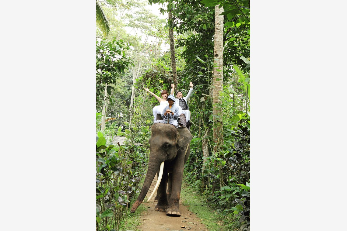 Yoshihisa Shinji Photography（進士 嘉久）	が撮影した「フォトギャラリー」の写真