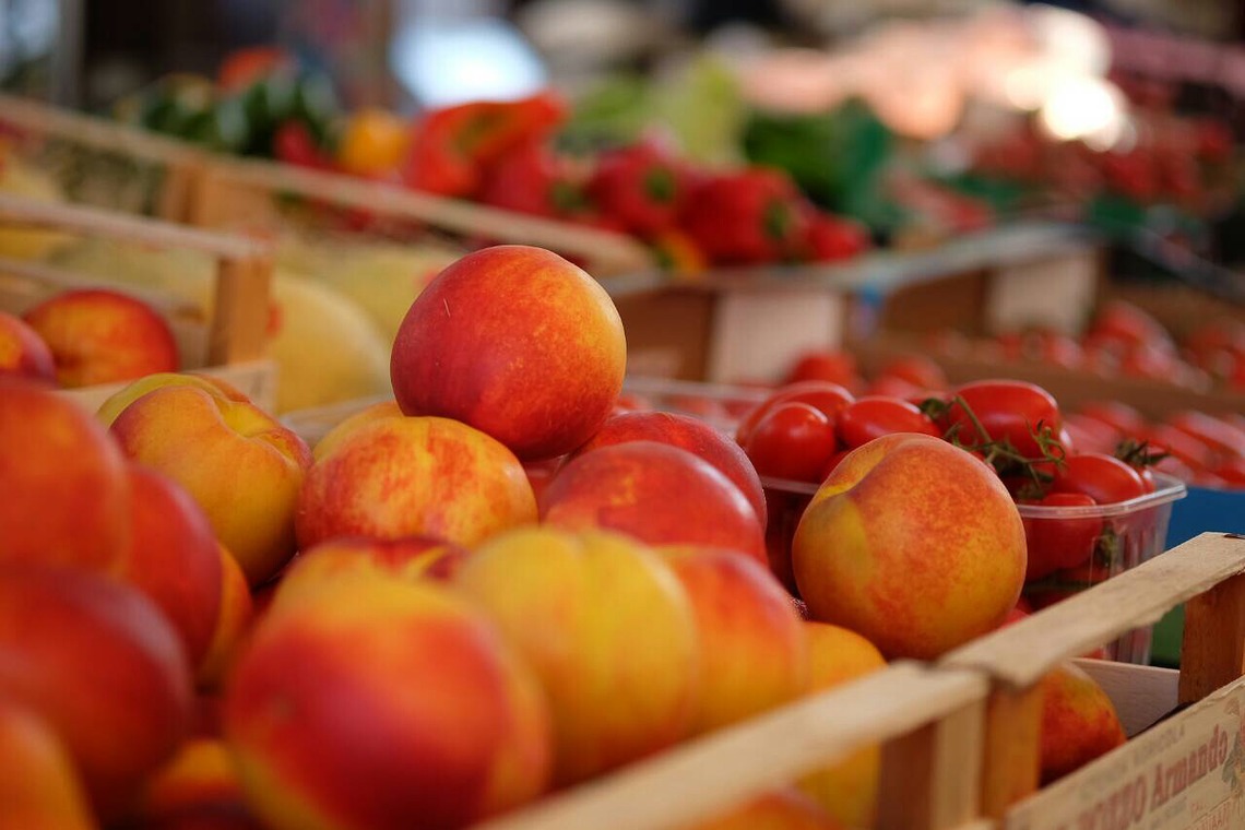 杉本 周平が撮影した写真のアルバム「料理関連」