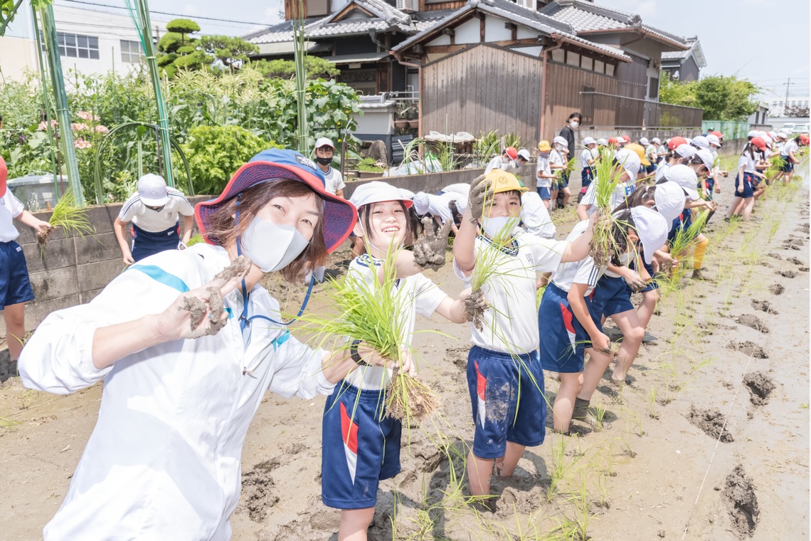 フォトスタジオ　ちっくたっくが撮影した「小学校」の写真
