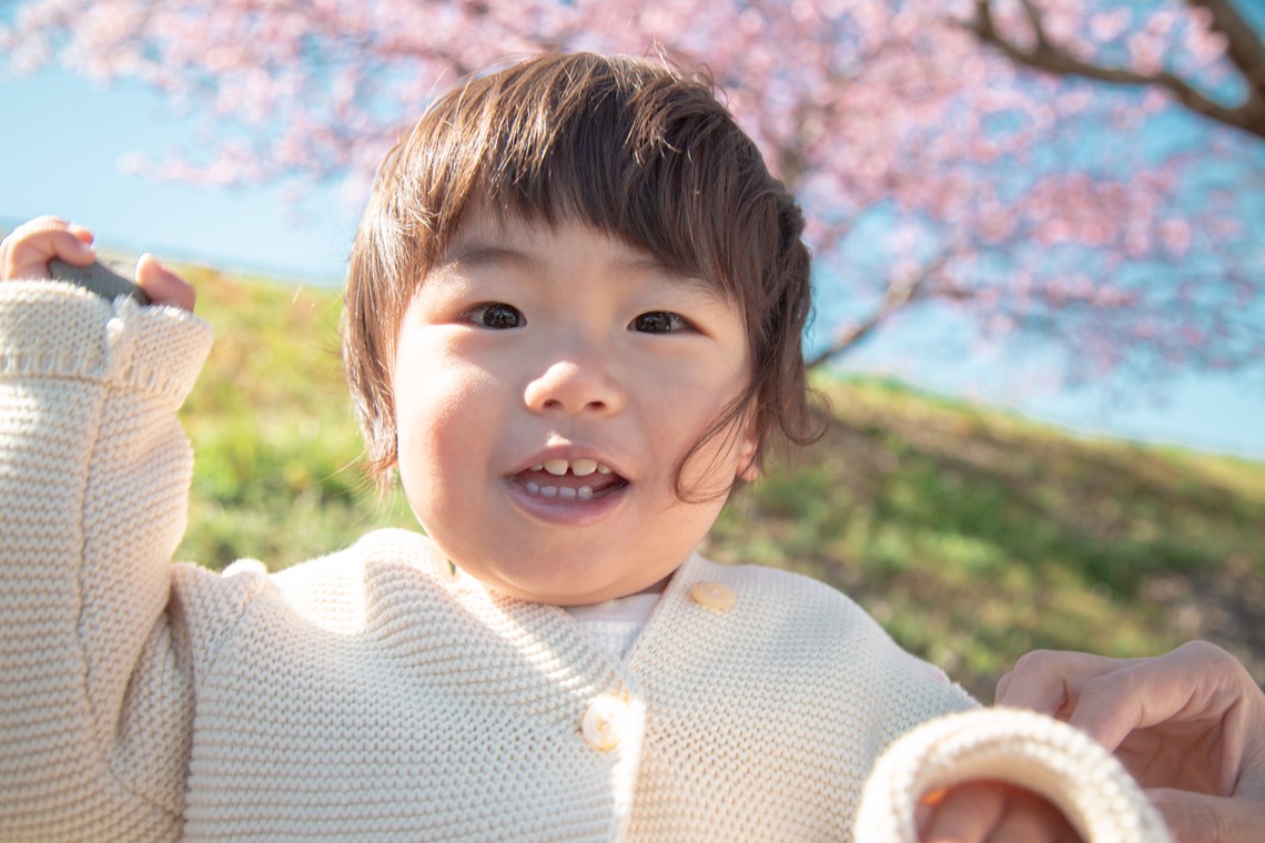 ゆのみふぉとが出張撮影した家族写真(キッズ,ベビーフォト)などが写った「桜とお写真」の家族写真