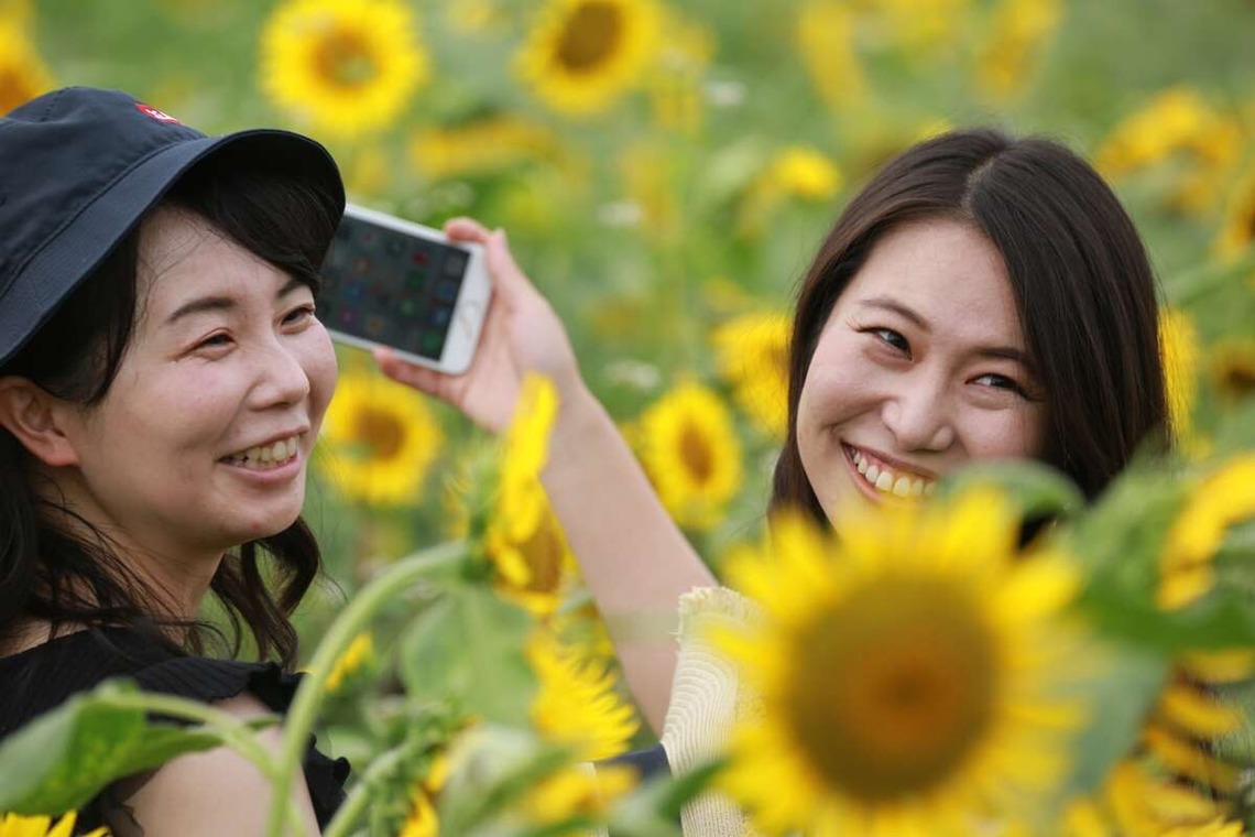 理 S PHOTOが撮影した「鼻高展望ひまわり畑」の写真