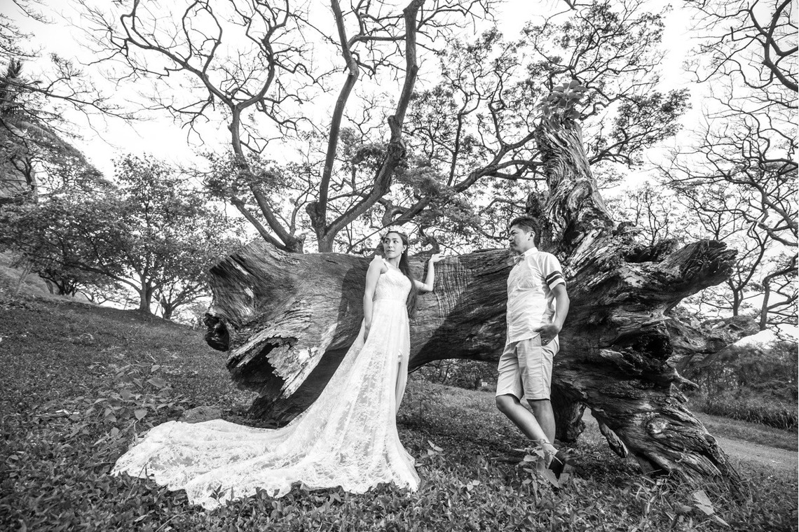 2cconcept (梅田福夫)が撮影した「フォトギャラリー」の写真