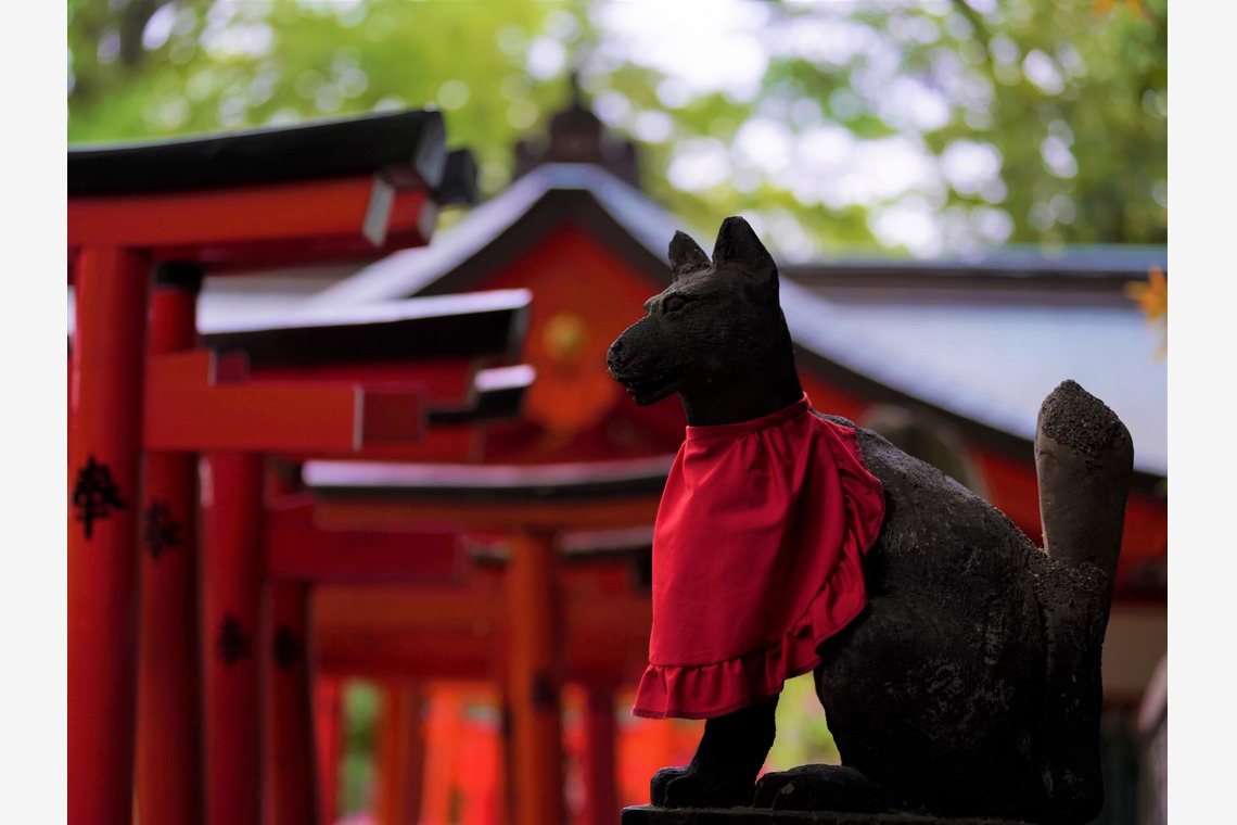 鈴木賢志が撮影した「四季折々の風景写真」の写真