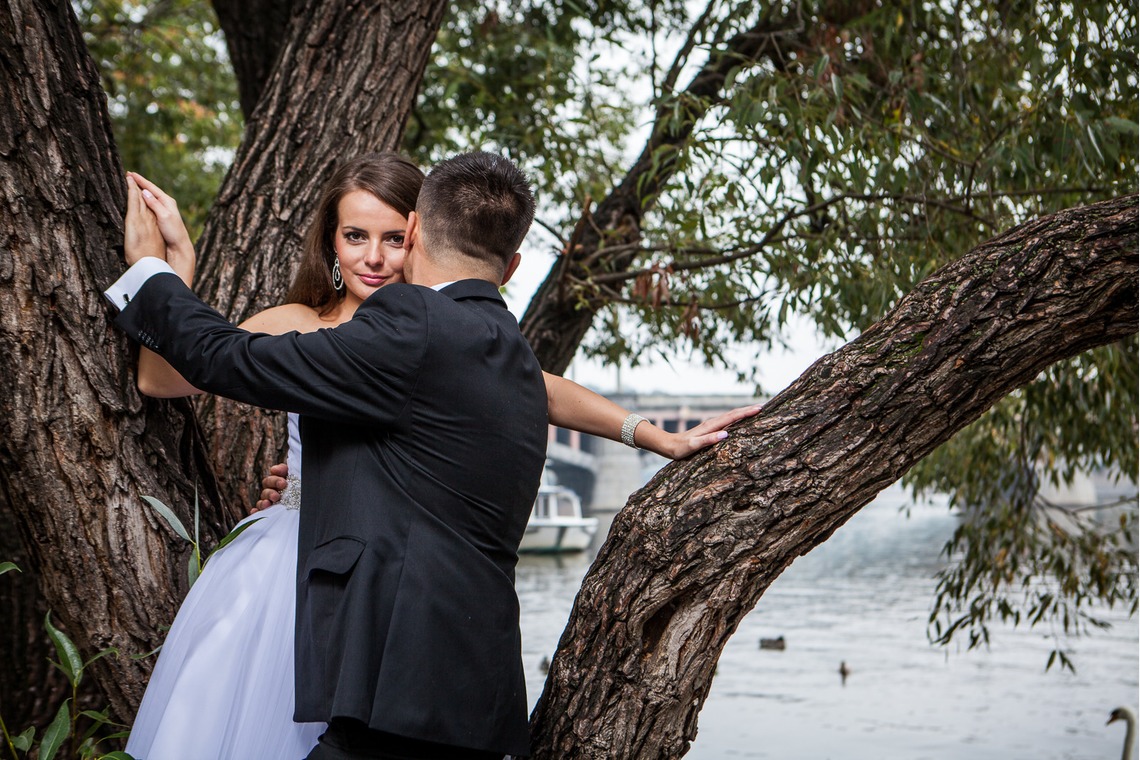 Wedding Photography Dubaiが撮影した「ドバイで???カメ」の写真