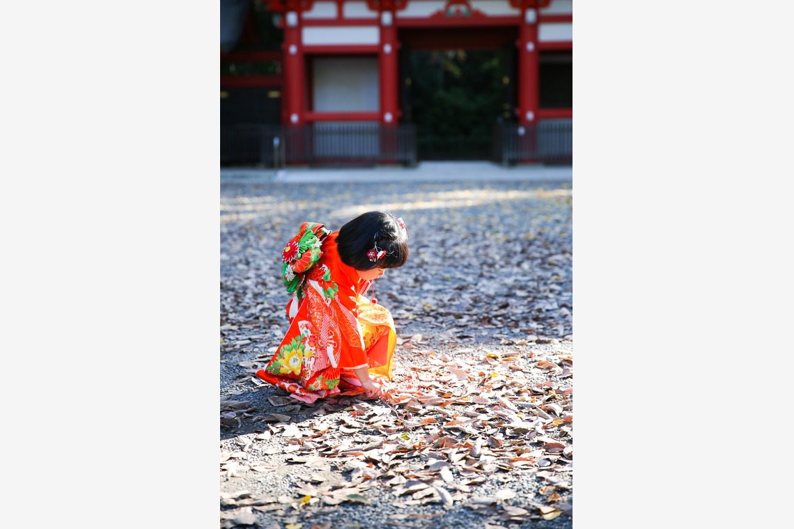 KOMOREBI Photo.　大如　耕平が撮影した「七五三神社撮影」の写真