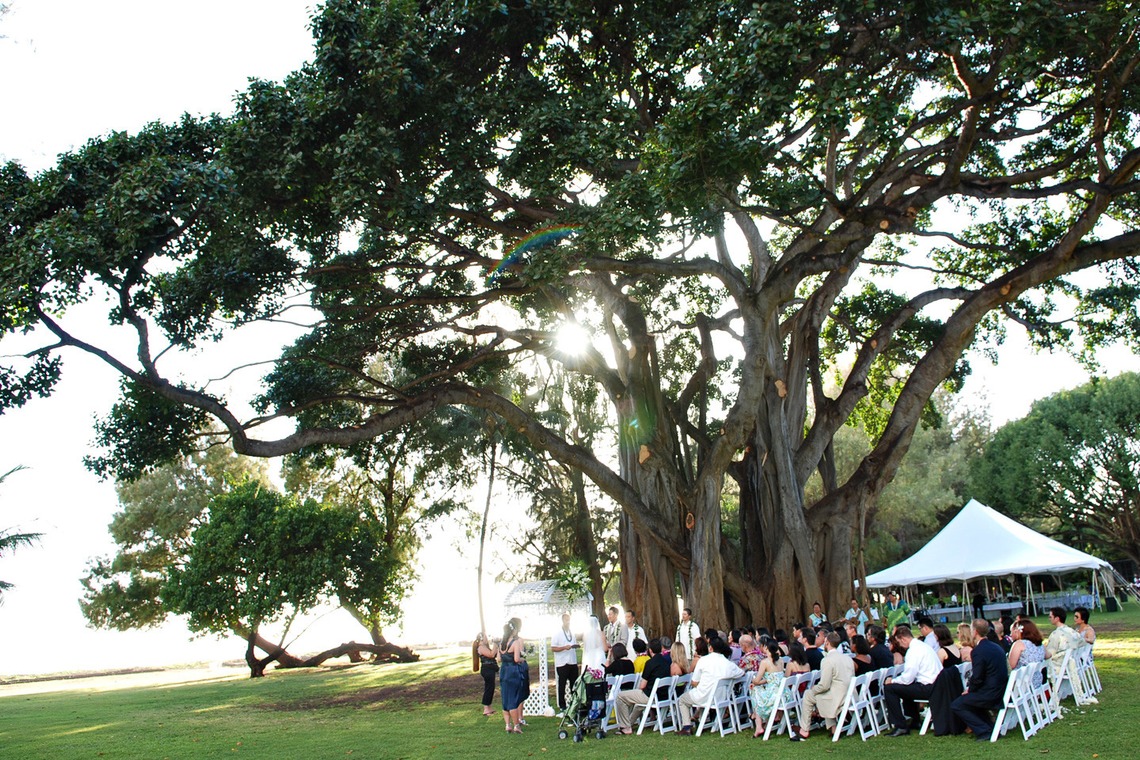 éclat photographyが撮影した「Gallery」の写真