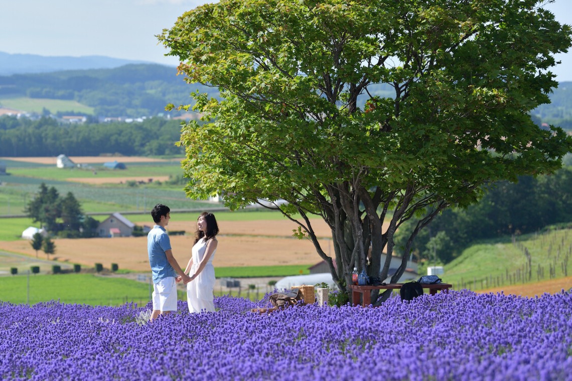 須貝フォトサービスが撮影した「富良野・美瑛・トマム」の写真