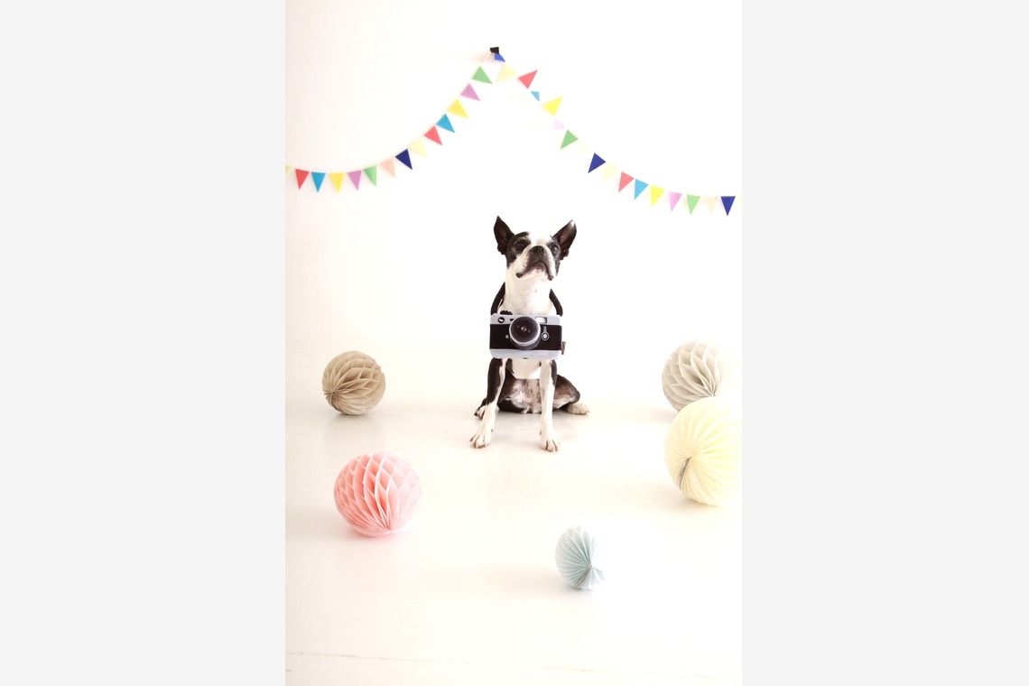 Hiroが出張撮影した家族写真(キッズ,ベビーフォト)などが写った「ペット撮影」の家族写真