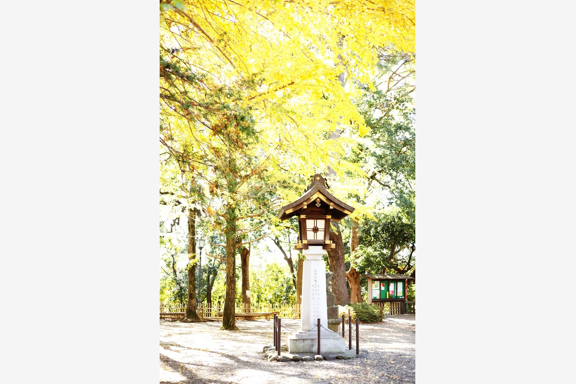 出張撮影HUG TIMEが出張撮影した家族写真(キッズ,ベビーフォト)などが写った「七五三記念撮影＠世田谷八幡宮・東京」の家族写真