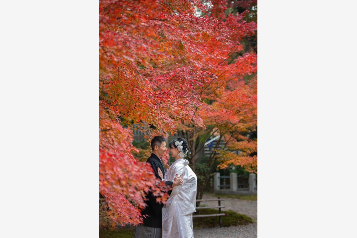 saruco(岩崎寿）が撮影した写真のアルバム「秋の和装前撮り」