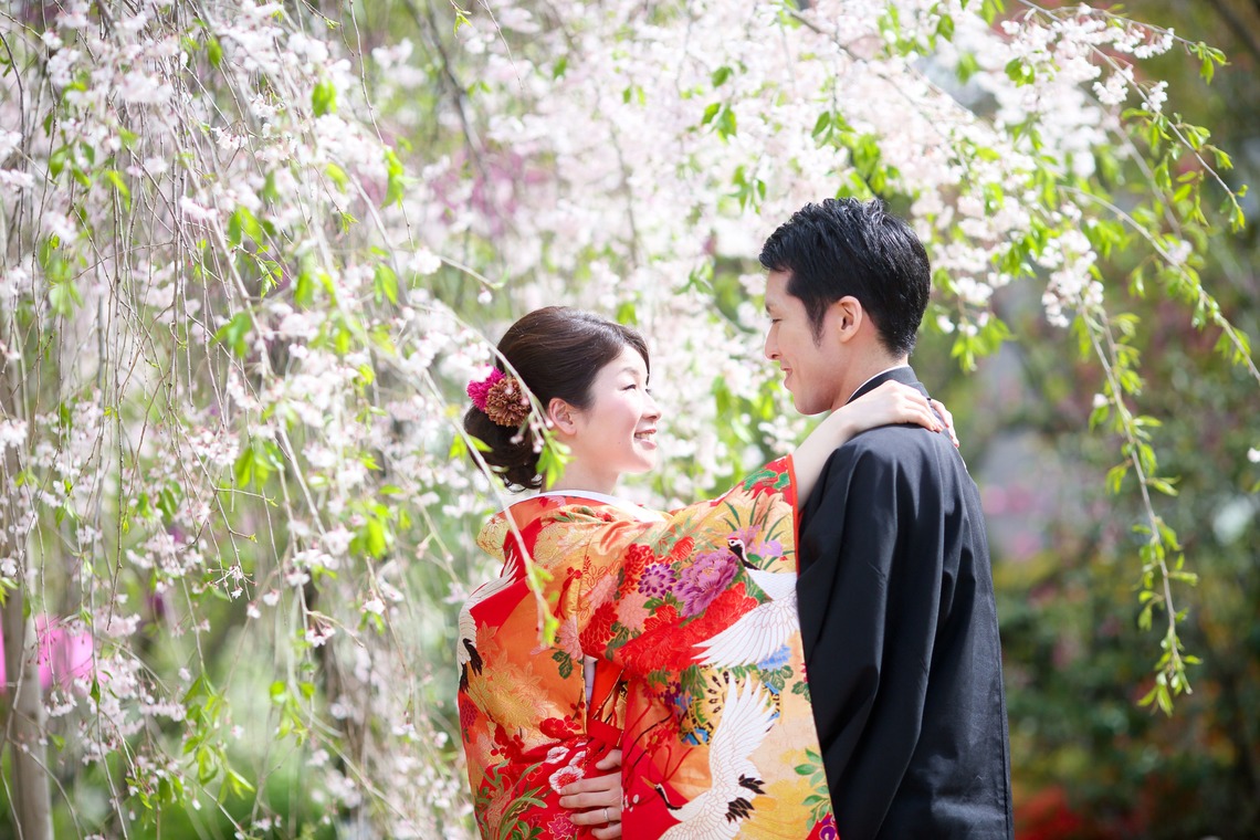 KIKIウェディングが撮影した写真のアルバム「新緑の和装」