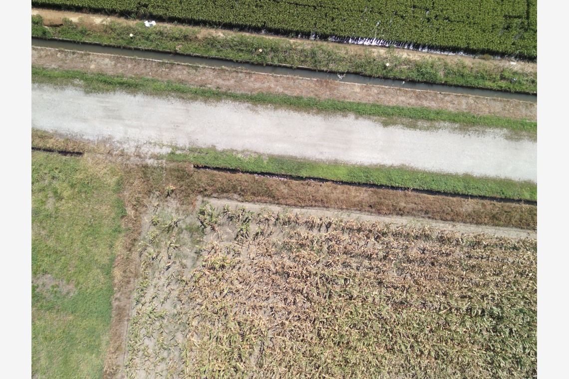 アナハイムエレクトロニクスが撮影した「震災農地調査」の写真