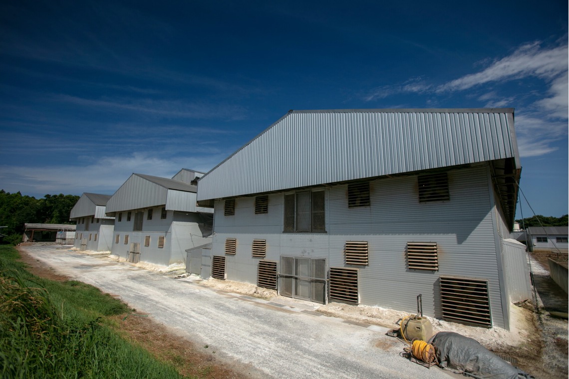 Creative Brand　Crows Nestが撮影した「ビジネス系撮影」の写真