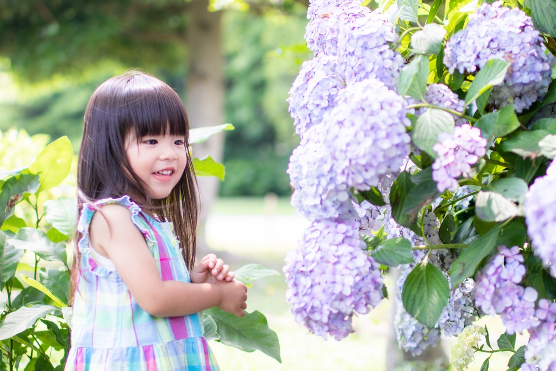 かわもとえつこが撮影した写真のアルバム「ファミリーフォト」