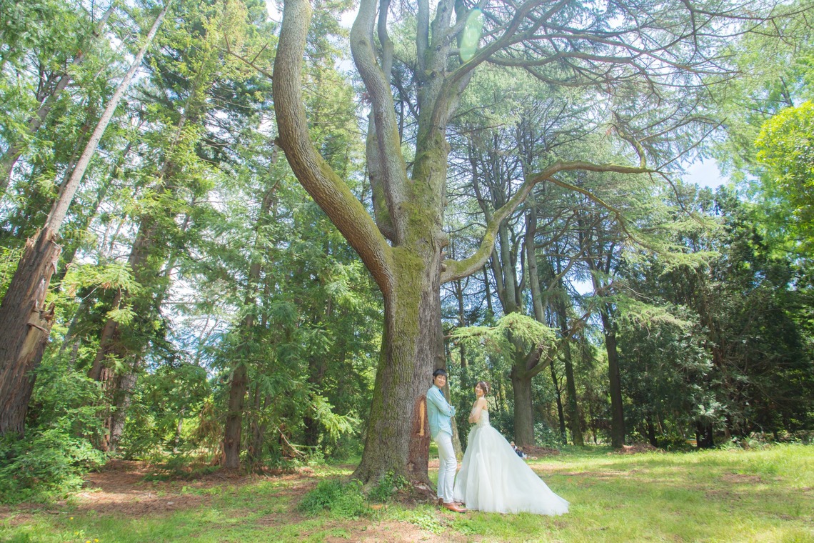 k.filmsが撮影した「新緑の中の前撮り」の写真