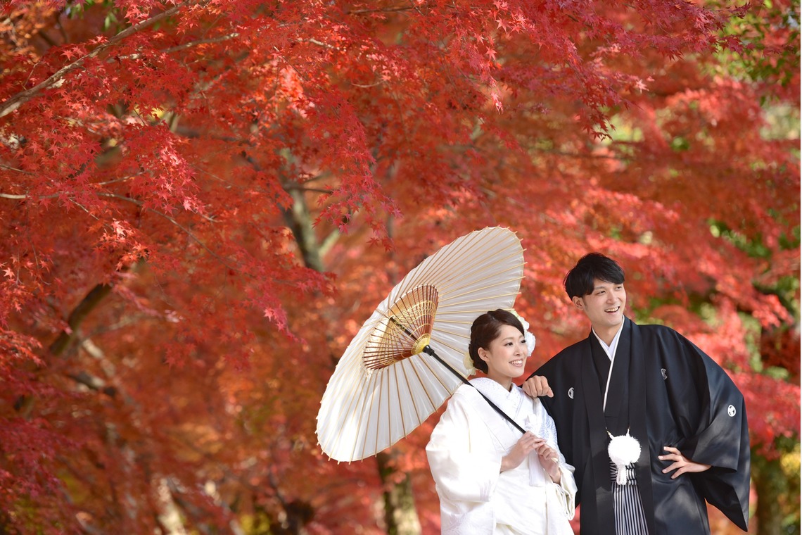 キキフォトワークスが撮影した「秋の奈良公園で和装前撮り」の写真