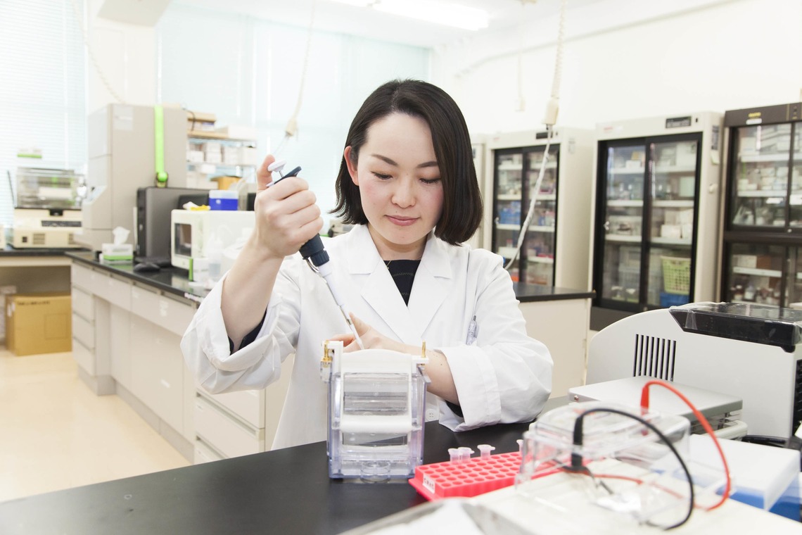 Yasui photographyが撮影した「企業案内」の写真