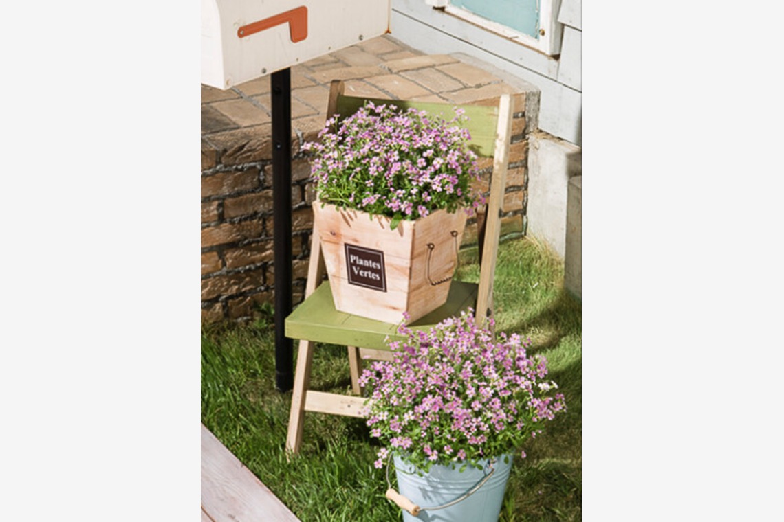 有限会社　澤田スタジオが撮影した「花、植物」の写真