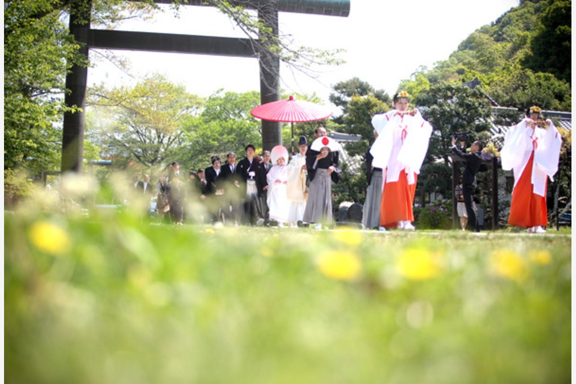 ピュアアーティス(小島 靖雄)が撮影した「当日写真」の写真