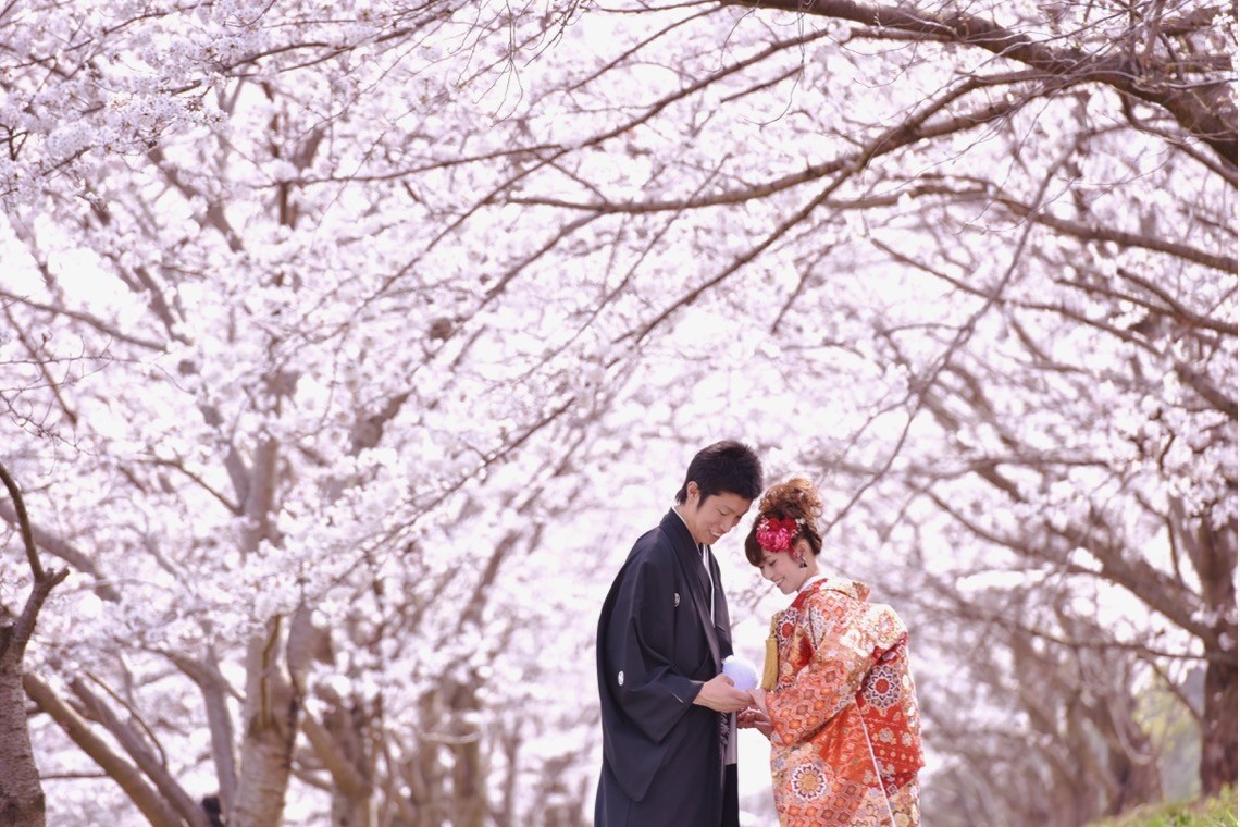 Album of the Wedding, Bridal taken by Kiki photo works - Pre Weddingphotoshoot in Nara park in the cherry blossom season