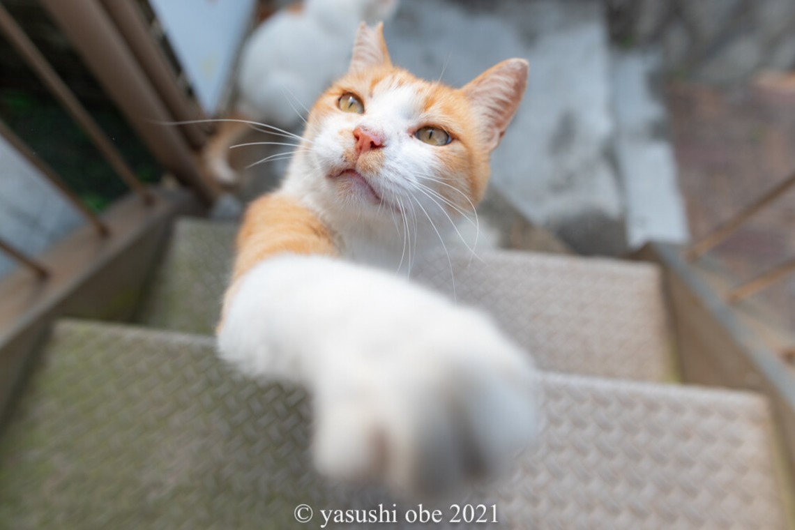 写真屋ごんちゃんが撮影した「過去写真」の写真