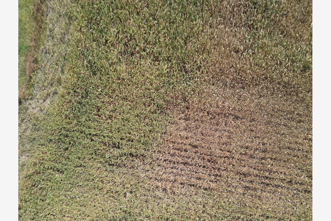 アナハイムエレクトロニクスが撮影した「震災農地調査」の写真