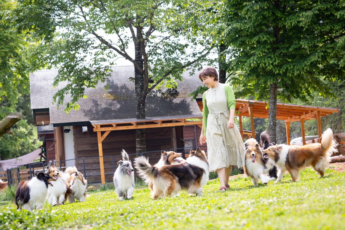 LUCE PHOTO WORKSが撮影した「ペット」の写真