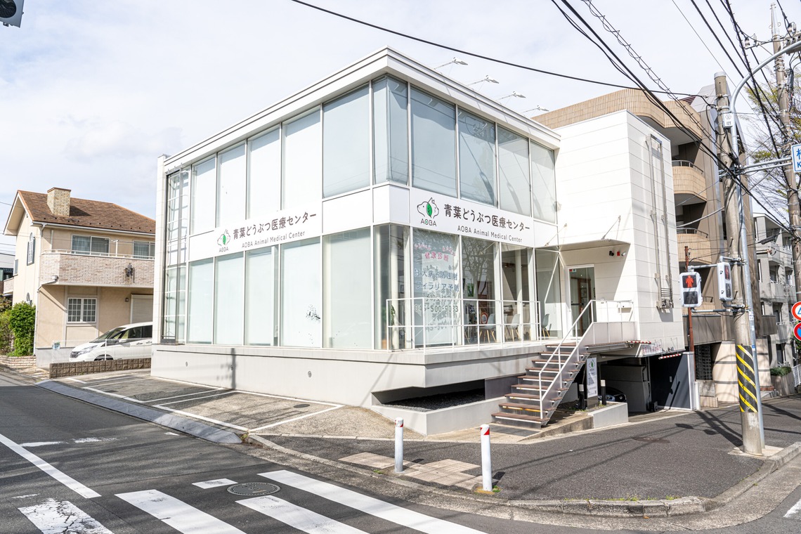 吉田佳央が撮影した「医院撮影」の写真