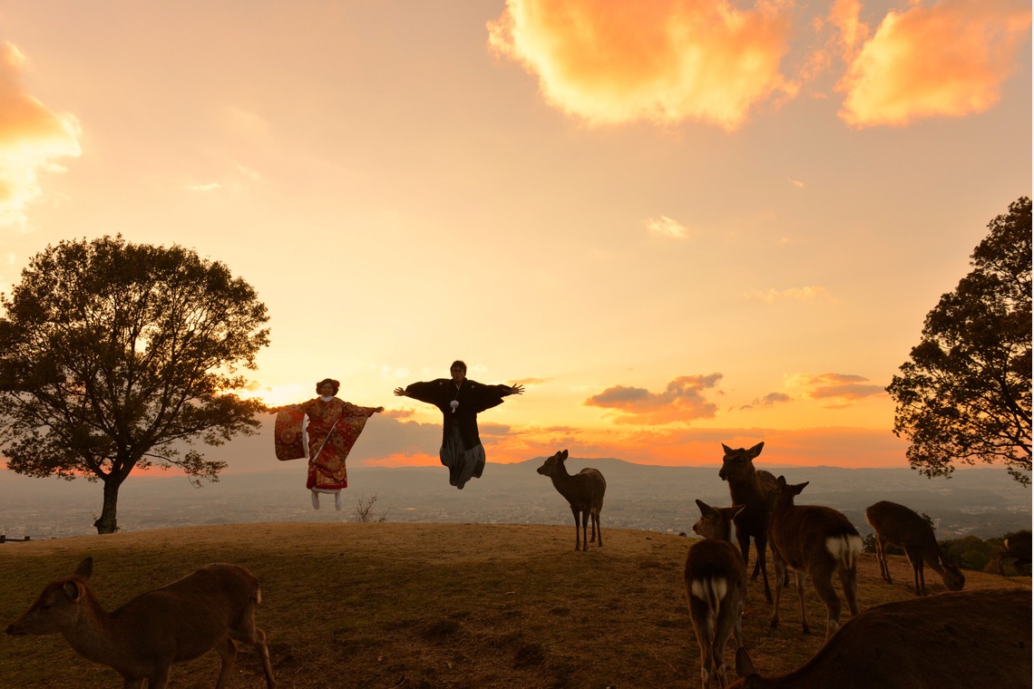 キキフォトワークスが撮影した写真のアルバム「秋の奈良公園で和装前撮り」