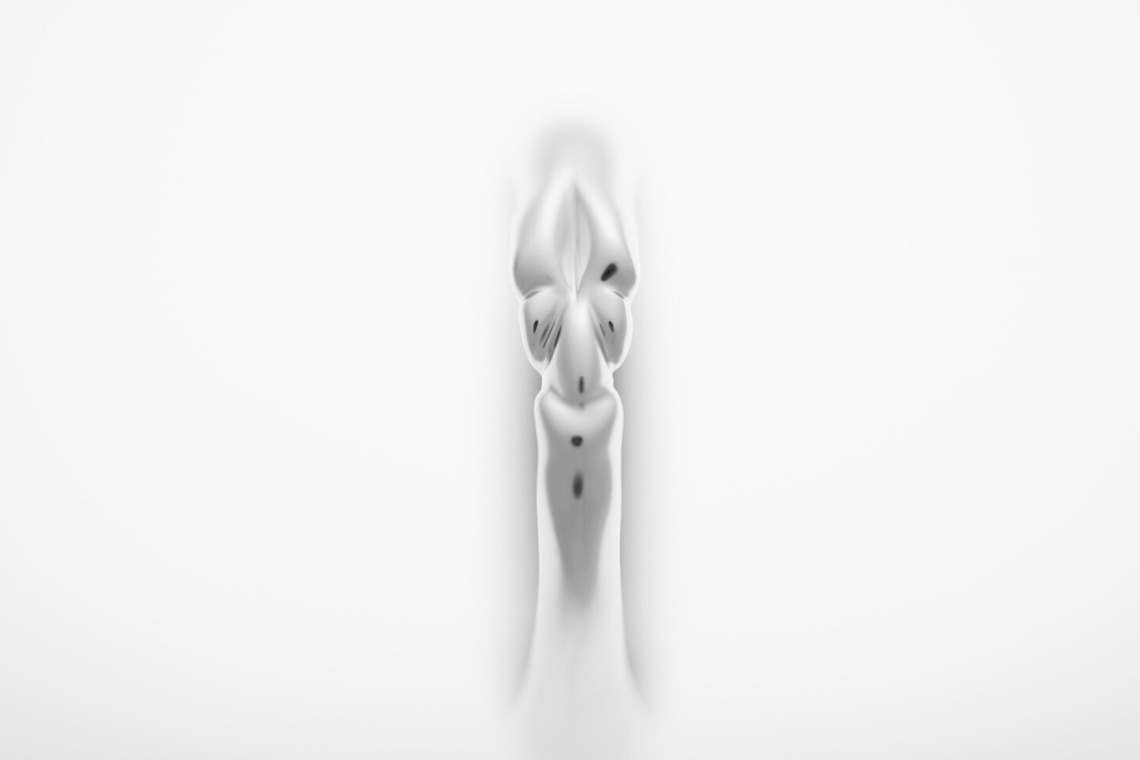 y-photoが撮影した「商品撮影」の写真