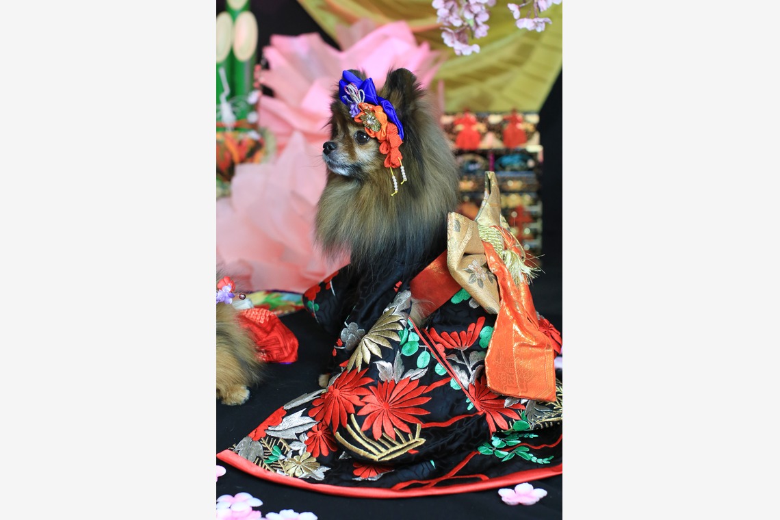 高橋 透（Coo&Sea STUDIO代表）が出張撮影した家族写真(キッズ,ベビーフォト)などが写った「お正月撮影会2020@新横浜Coo&Sea STUDIO」の家族写真