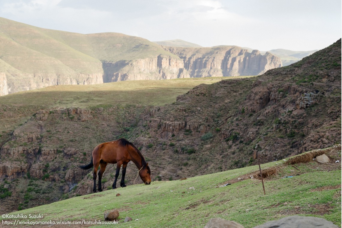 Katsuhiko Suzukiが撮影した写真のアルバム「レソト王国」