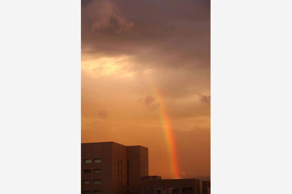 blink photoが撮影した「風景」の写真