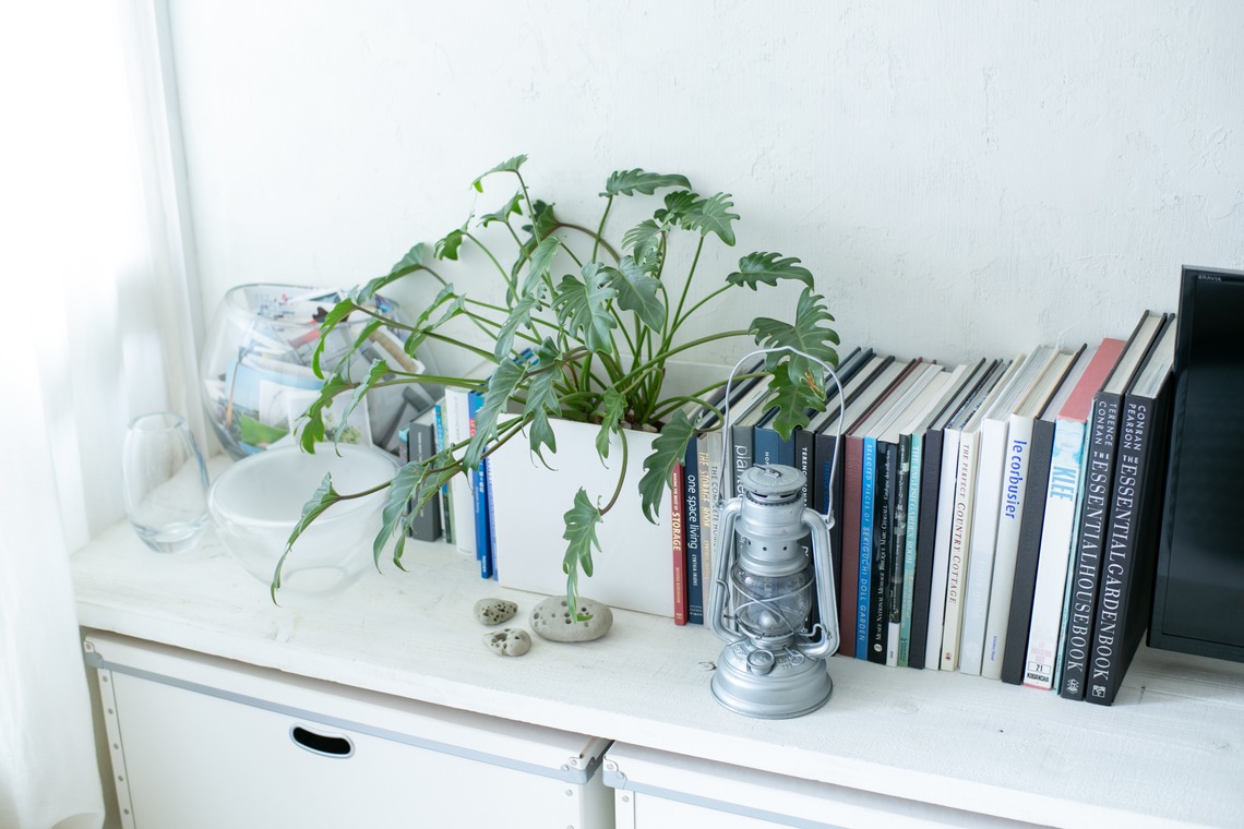 眞田 厚司が撮影した写真のアルバム「建物内観物件」