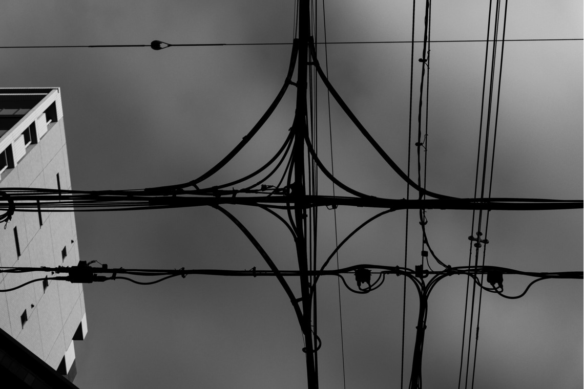 Green Backasが撮影した「MATT」の写真