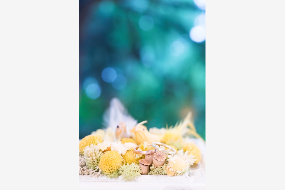 xが撮影した「」の写真