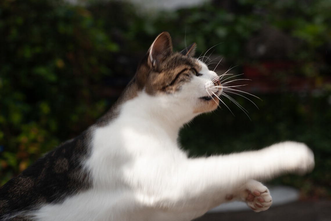 十時写真事務所