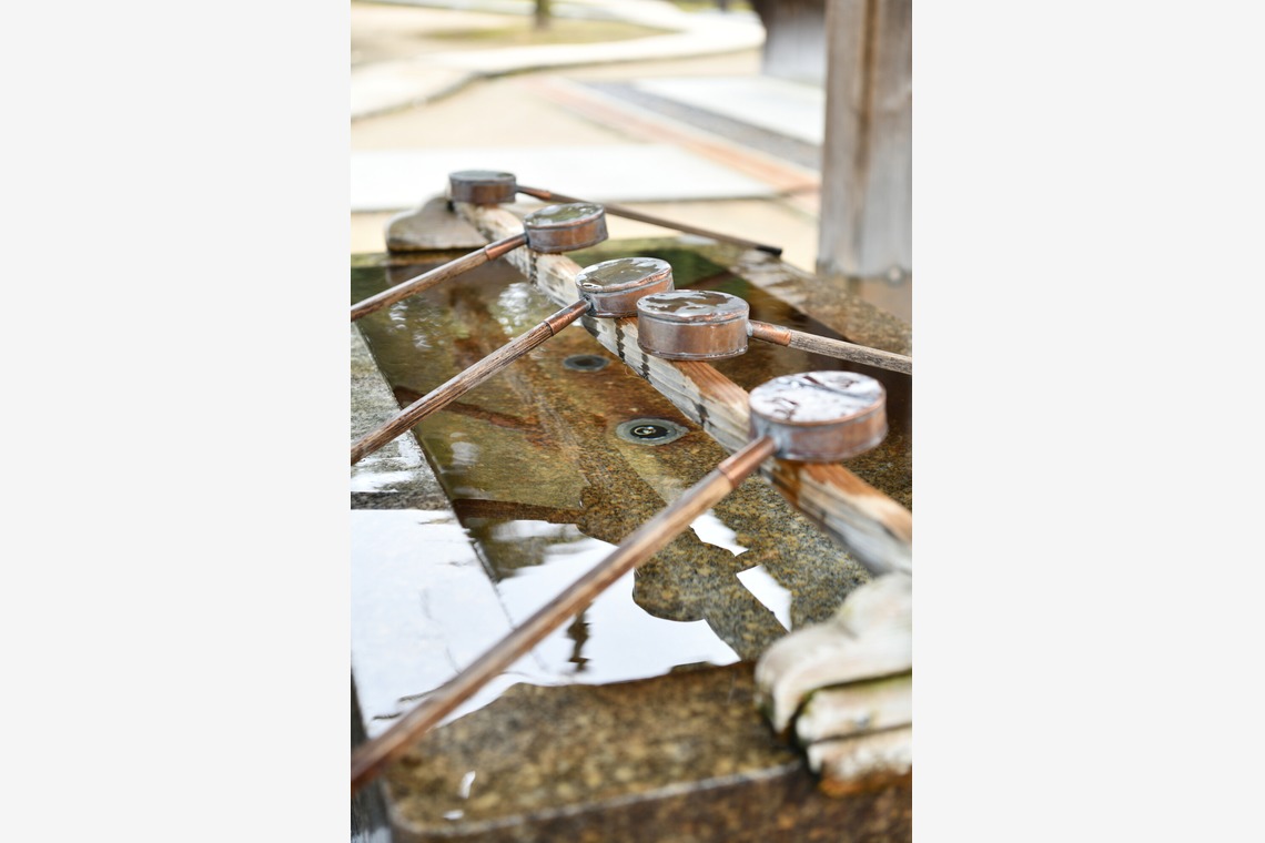 ライトステージが撮影した「イメージカット」の写真