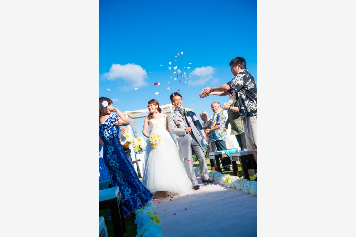 Photo of  taken by bird and insect ltd.