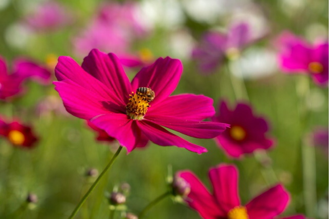 堀田佳資が撮影した「風景」の写真