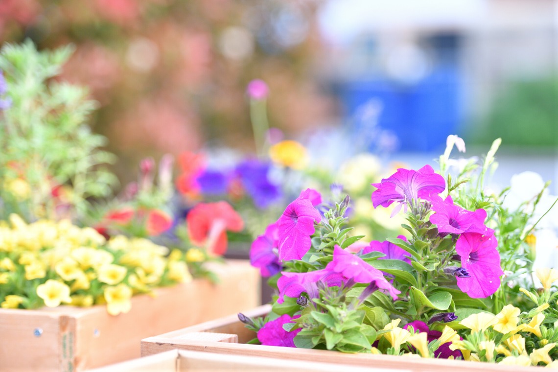 ライトステージが撮影した「イメージカット」の写真