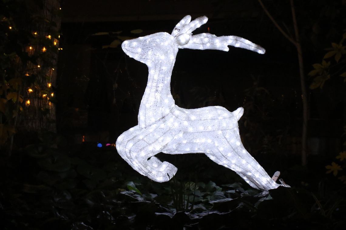 ＮＫ フォトエージェンシーが撮影した写真のアルバム「建物・風景写真③(多摩センター駅前イルミネーション）」