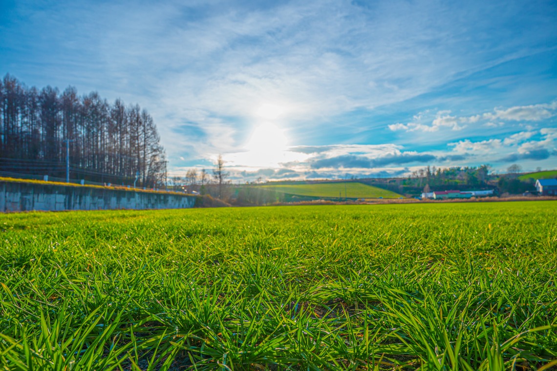 高木勇斗が撮影した「風景　物撮り」の写真