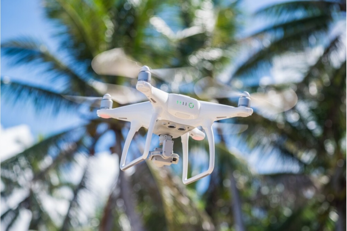 リトルダイナソーが撮影した写真のアルバム「風景」