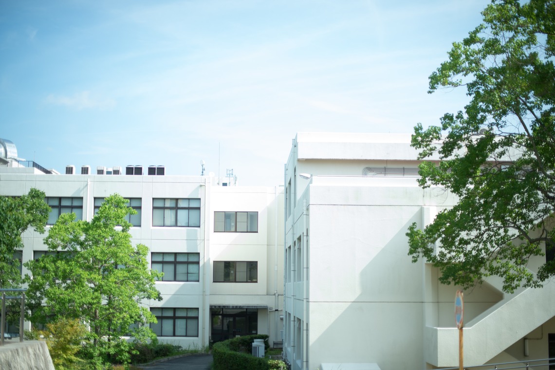 片倉写真事務所が撮影した「エンゲージメントフォト（加古川）」の写真